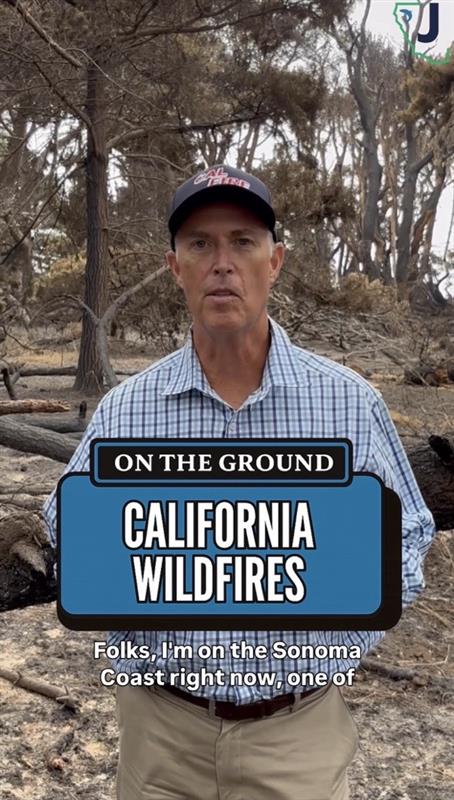 wildfire